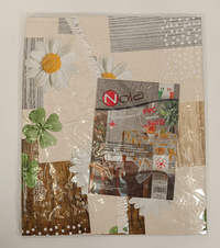 TOVAGLIA NOLA/AIRONE 120X220 Tellini S.r.l. Ingrosso Abbigliamento